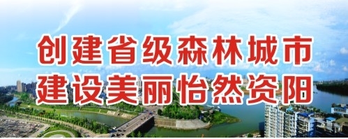 哦哦快受不了了爽爽在线观看创建省级森林城市 建设美丽怡然资阳